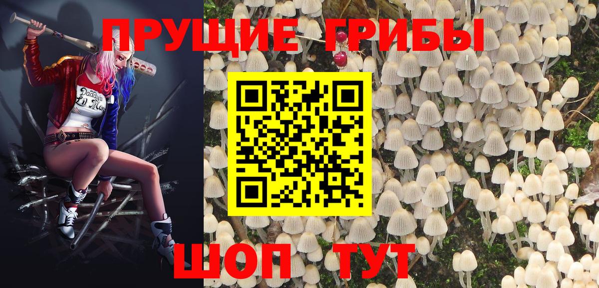 Псилоцибиновые грибы GOLDEN TEACHER  Вход с VPN  Коркино 