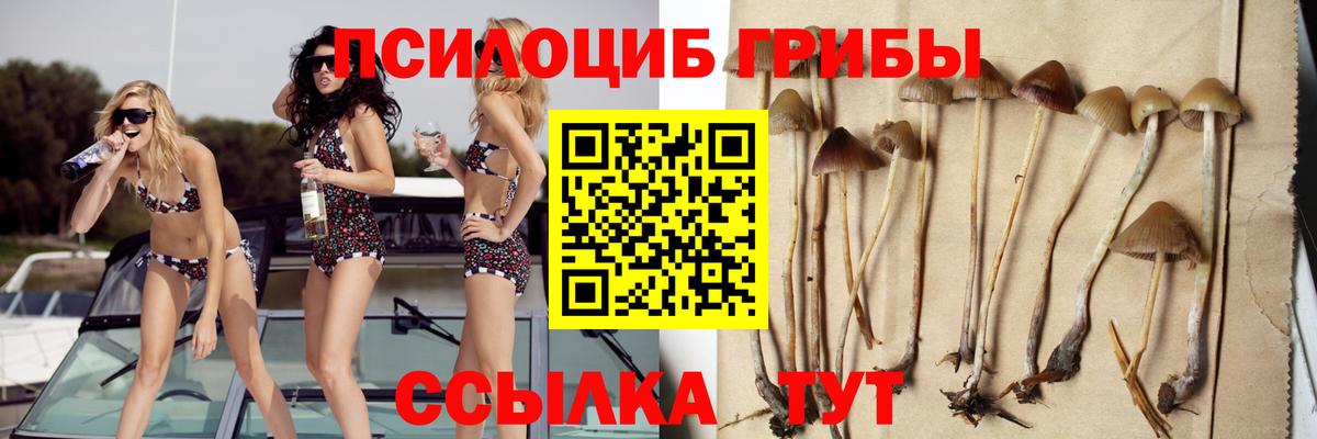 Псилоцибиновые грибы прущие грибы Коркино